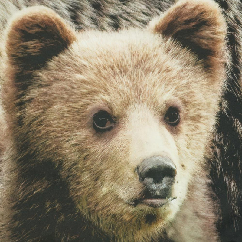 Habitat Photo Real Cute Bears Family Light Filtering Pole Top Curtain Panel Soothing Glow Pair Each 37" x 84" Multicolor