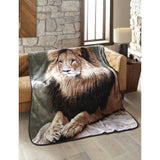 High Pile Oversized Luxury Throw Blanket 60in x 80in by Shavel Home Products