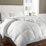 Blue Ridge Kathy Ireland 240 Thread Count Solid Cover White Goose Down And Feather Comforter - White