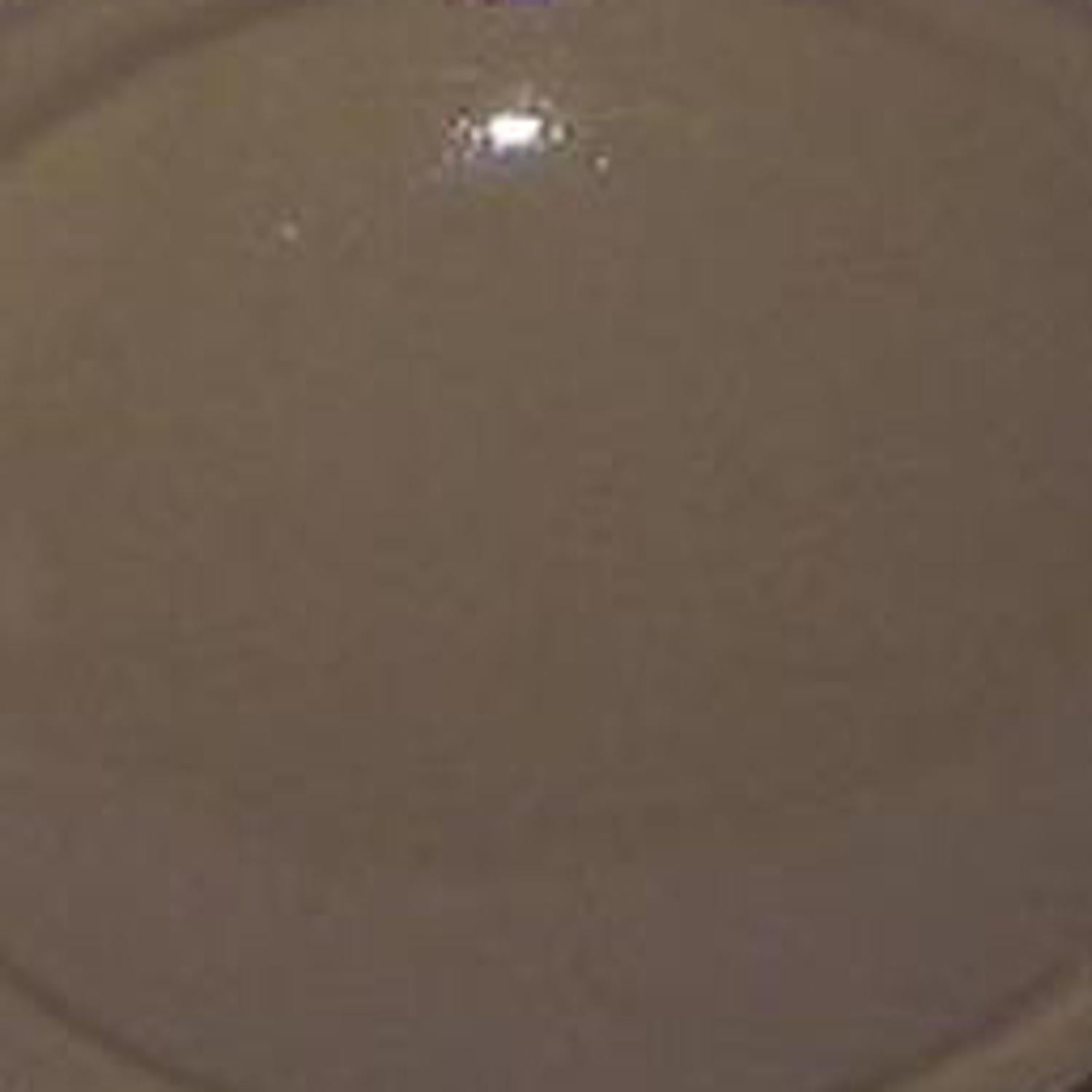 Carnation Home Fashions "Color Rounds" Resin Shower Curtain Hooks - 1.5x1.5"