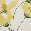 Outdoor Decor by Commonwealth Yellow Cosmos Print Outdoor Pillow Cover 18" x 18" Yellow (Cover Only)