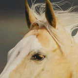 Habitat Photo Real Horses Light Filtering Printed Drapes Displaying Pole Top Curtain Panel Pair Each 37" x 84" Multicolor