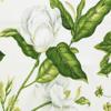 Ellis Curtain Whitfield Lined Scallop 3" Rod Pocket Valances for Windows 50" x 15" Clover