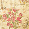 RLF Home Palm Springs Trimmed Glory Window Valance 100% Cotton Lined Rod Pocket 50" x 17" Beige