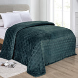 Amrani Bedcover Embossed Blanket Soft Premium Microplush Green by Plazatex