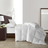 Chic Home Gianna Comforter Cotton Shell Box Stitched Design Heavy White Duck Down Filling - White