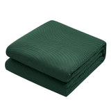 Chic Home Teague Quilt Set Contemporary Organic Wave Pattern Bedding - Pillow Shams Included - 3 Piece - Green