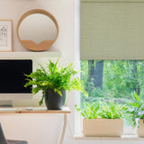 Versailles Marcellus Cordless Roman Light Filtering Shades For Windows Insides/Outside Mount Driftwood