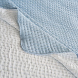 Greenland Home Fashions Homestead 100% Woven Polyester Jacquard Coverlet Set Sky Blue
