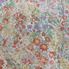 Greenland Home Fashions 100% Cotton Face 100% Microfiber Alice Pastel Sham Pastel