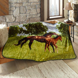 Shavel 100% Polyester Luxury High Pile Oversized Mare and Colt One Size Luxury Throw 60x80 Multi