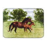 Shavel 100% Polyester Luxury High Pile Oversized Mare and Colt One Size Luxury Throw 60x80 Multi