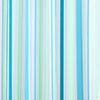 RT Designers Collection 90 GSM Printed Peva Glit Evan 13 Piece Shower Curtain Set 70