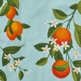 SKL Home By Saturday Knight Ltd Citrus Grove Apron - 28X33", Green