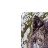 High Pile Oversized Luxury Throw Blanket 60in x 80in by Shavel Home Products