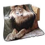 High Pile Oversized Luxury Throw Blanket 60in x 80in by Shavel Home Products